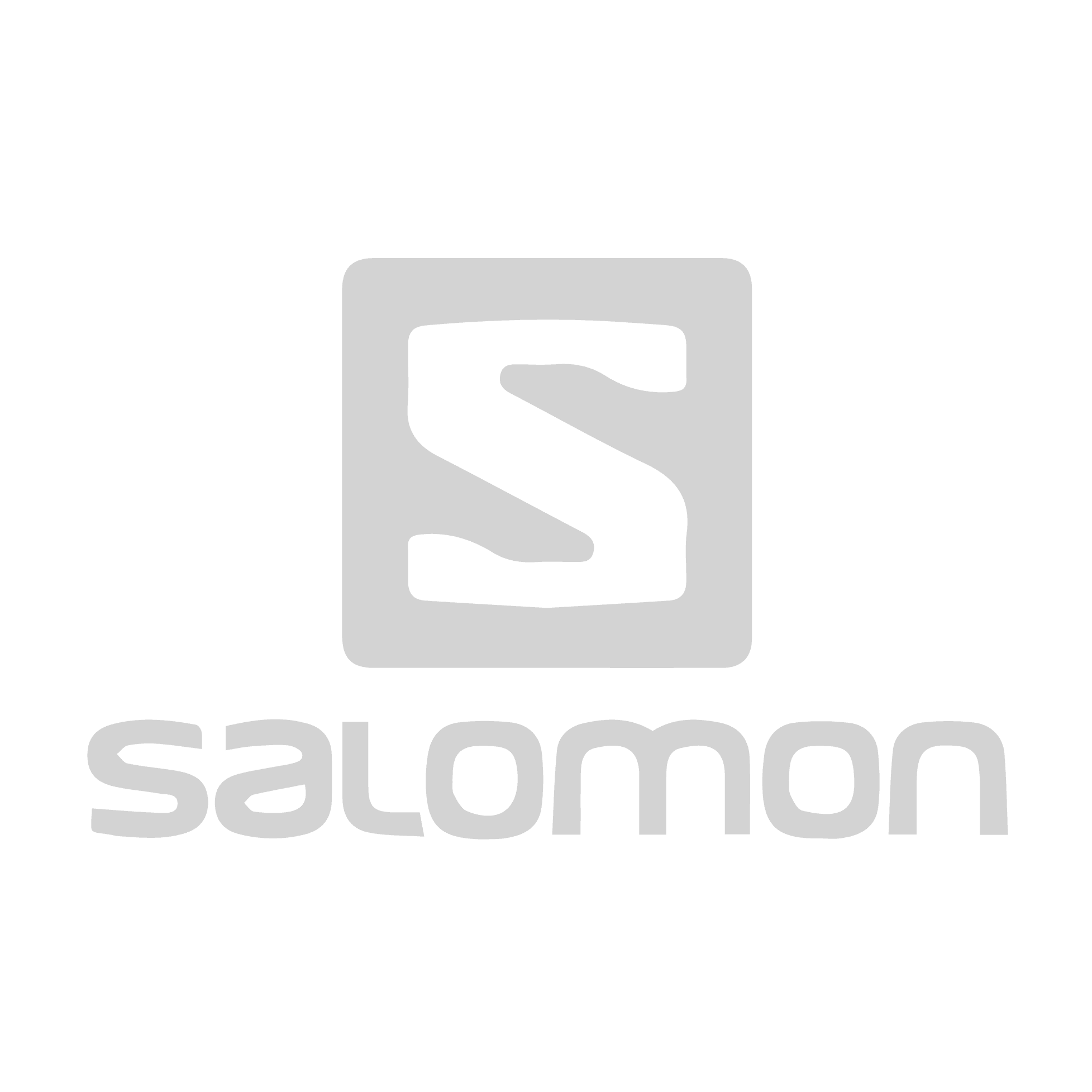 logo salomon site